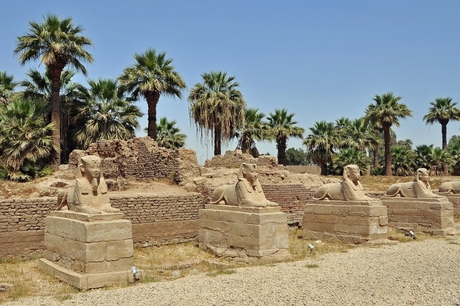 Transfer VIP da o per l'aeroporto da Luxor – foto 5