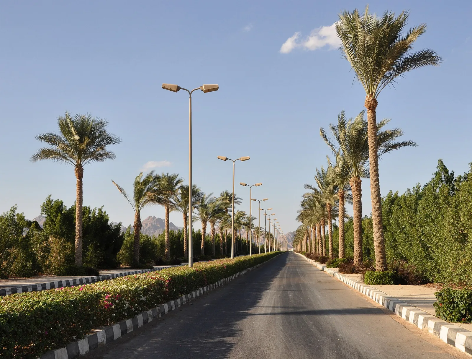 Traslado VIP desde o hacia el aeropuerto desde Sharm El Sheikh – foto 4