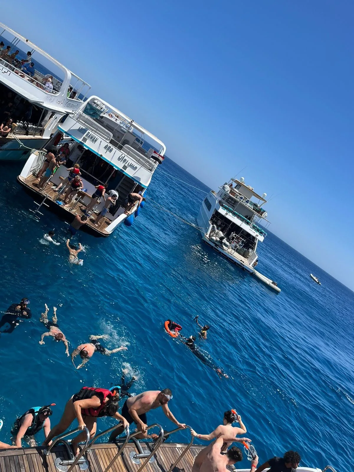 In barca a Orange Bay e all'isola Hula Hula da Sahl Hasheesh – foto 3