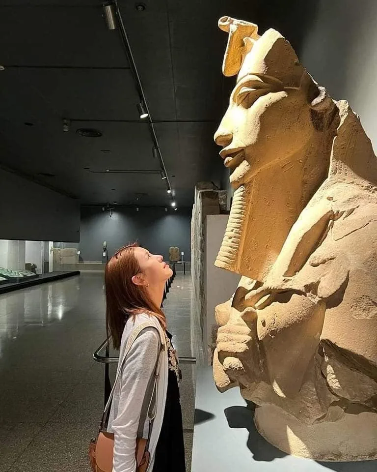Pirámides, museo egipcio antiguo y viejo Cairo en minibús