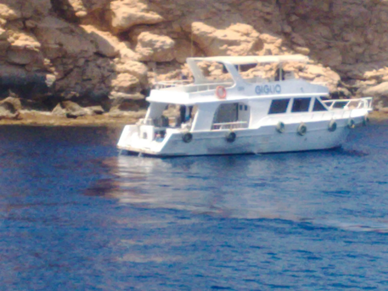 Crucero Nefertari de mañana o al atardecer con esnórquel