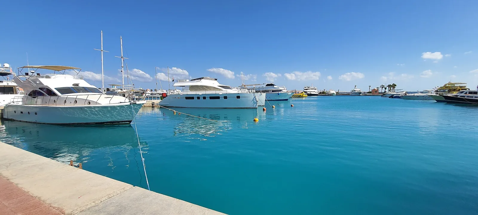 Crucero Nefertari de mañana o al atardecer con esnórquel
