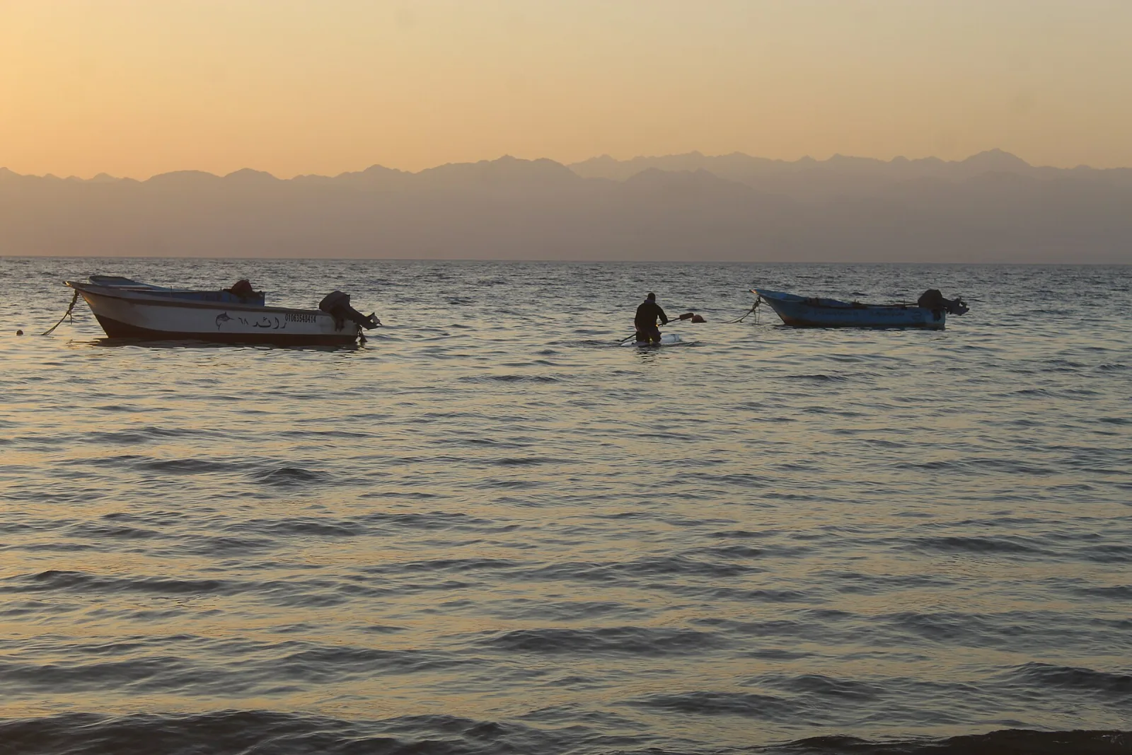 Crucero Nefertari de mañana o al atardecer con esnórquel