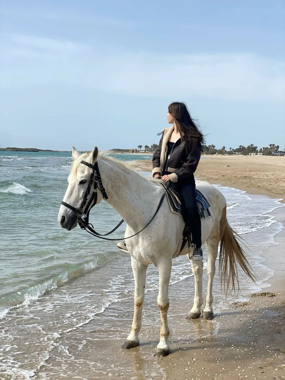 Reittour Meer und Wüste ab Hurghada