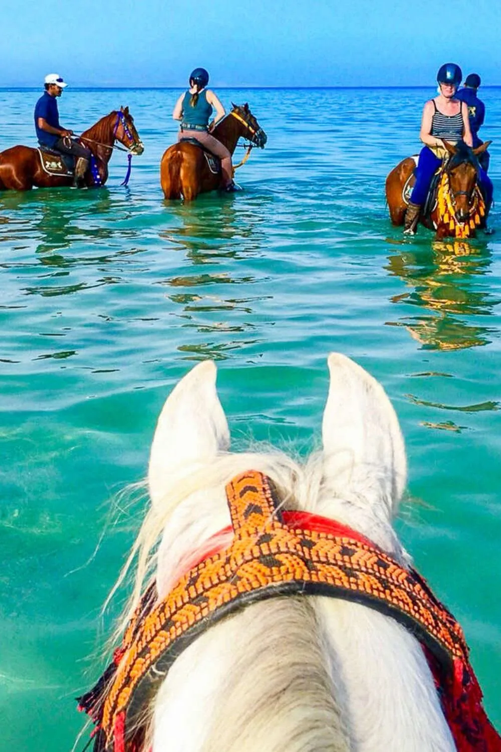 Tour a caballo entre mar y desierto