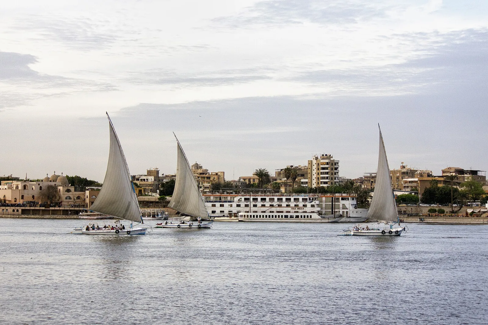 Cena crucero por el Nilo con espectáculo en vivo desde El Cairo – foto 3