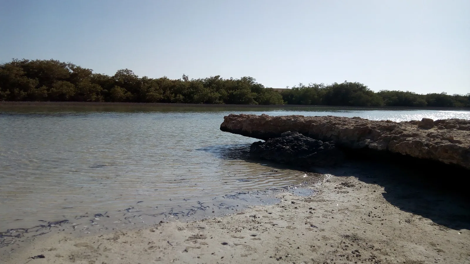 Ras Mohammed en medio día