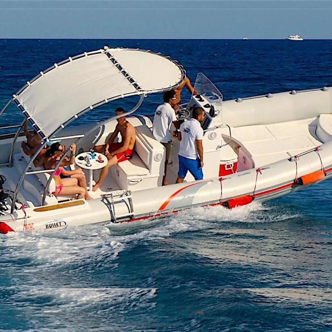 White Island Speedboat and Snorkelling Tour