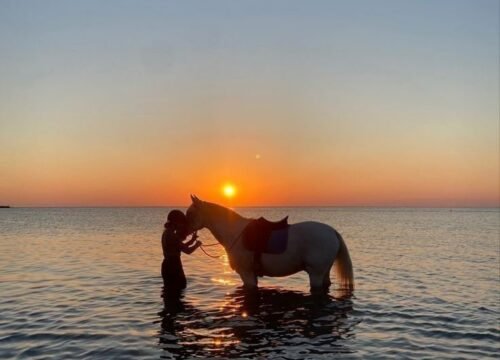 Tour a caballo entre mar y desierto desde El Gouna