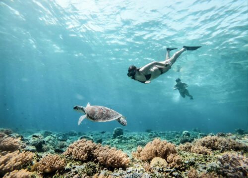 Crociera Nefertari mattina o tramonto con snorkeling da Hurghada