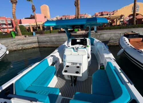 Bateau rapide : dauphins et snorkeling depuis Makadi Bay
