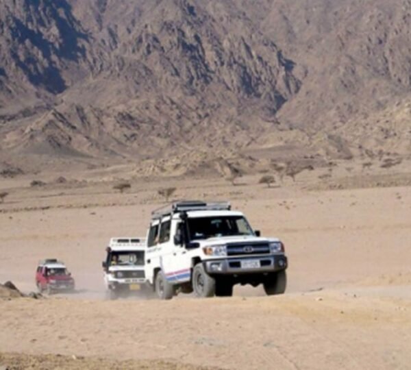 Wadi El Rayan Ausflug ab Kairo – Dünenfahrt in der Wüste