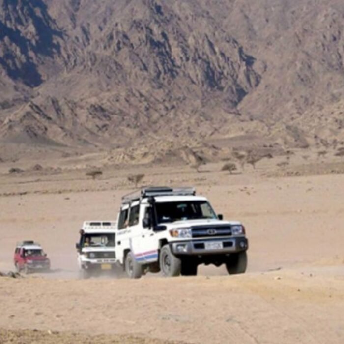 Wadi El Rayan Wüstensafari, Qarun See mit Dünenfahrt & Mittagessen