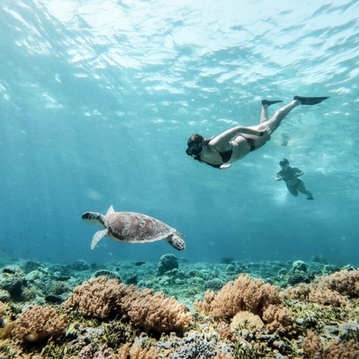 Nefertari Sunset oder Morning Cruise & Schnorcheln