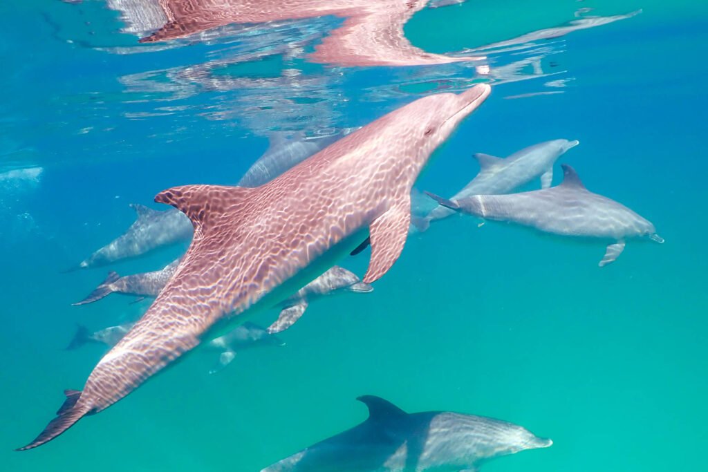 Kairo Privat mit Flug ab Hurghada – Luxus Tagesausflug