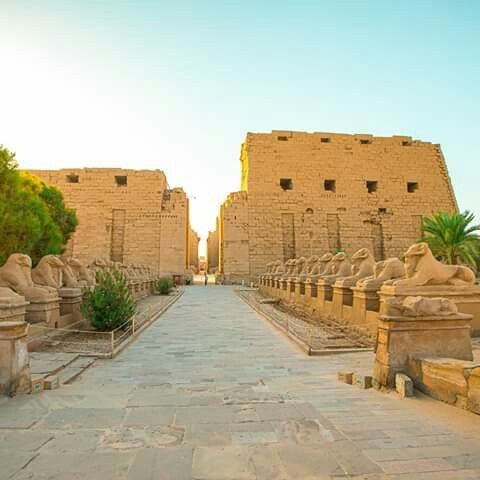 Luxor Egypt 6765