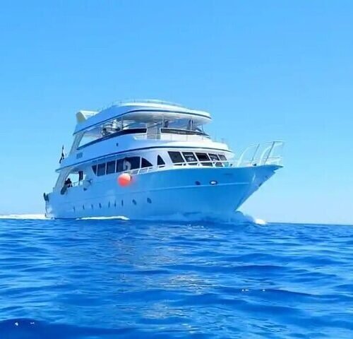 Orange Bay 5