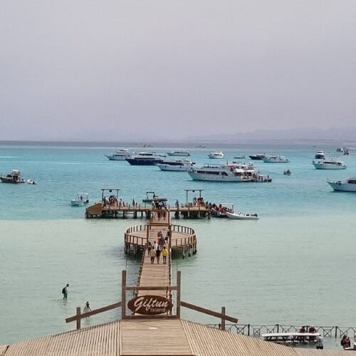 Orange bay11