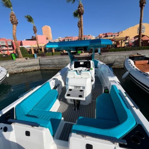 Schnellboot-Delfinbeobachtung & Schnorcheln