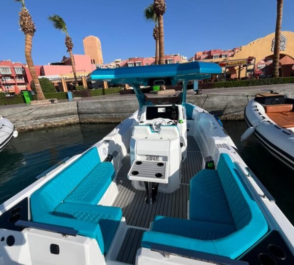 Schnellboot-Delfinbeobachtung & Schnorcheln