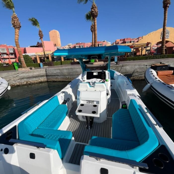 Schnellboot-Delfinbeobachtung & Schnorcheln