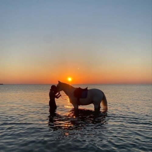 reiten am Strand