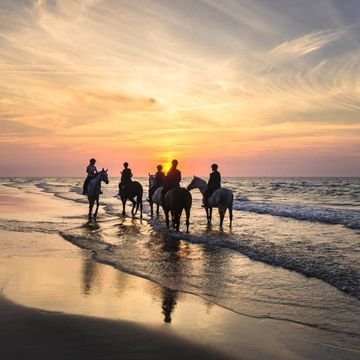 reiten meer