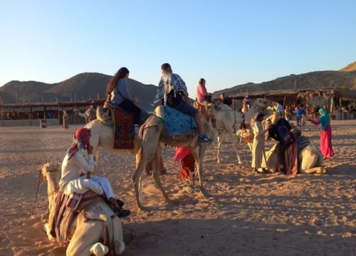 Mega Safari Jeep Tour, Quad & Buggy