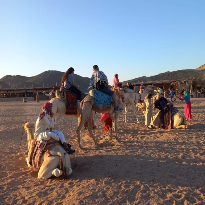 Mega Safari Jeep Tour, Quad & Buggy