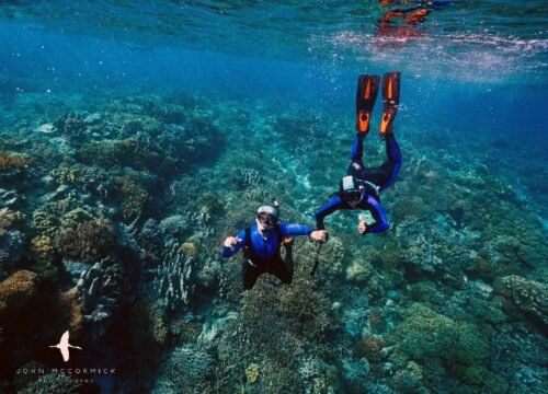 Unvergessliche Momente beim Schnorcheln mit Schildkröten in Hurghada – Ein magisches Erlebnis im Roten Meer