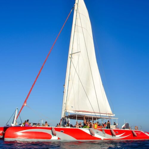 16c8bb00-19e0-4c25-8b32-dfca085af154