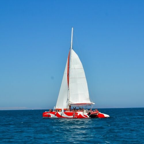 2734ae75-6458-4b39-a75d-cb40bef1f01e