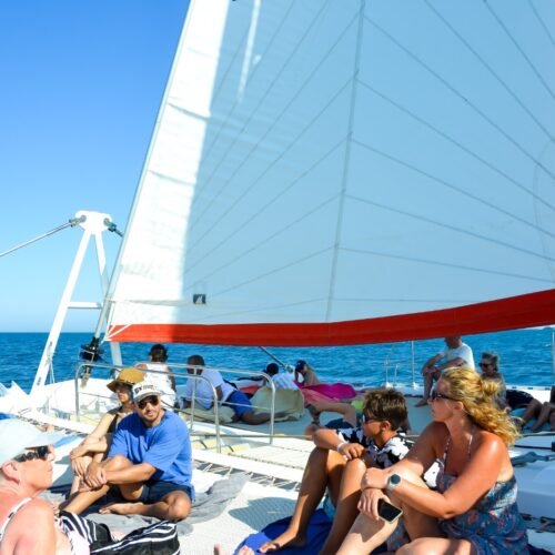 8f3de869-46d3-4658-bbbe-082906148735