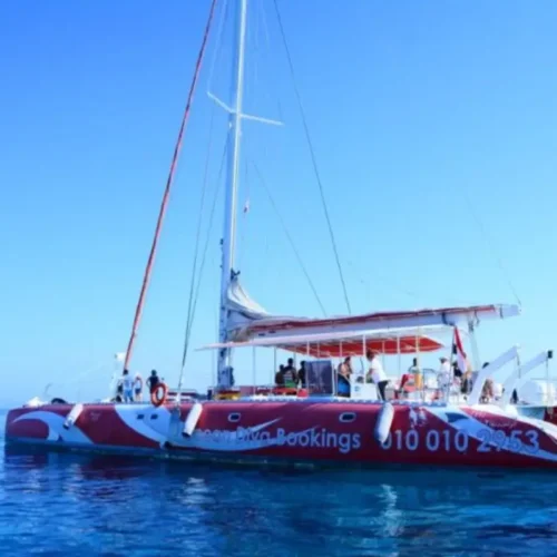 Ocean Diva Katamaran Tour