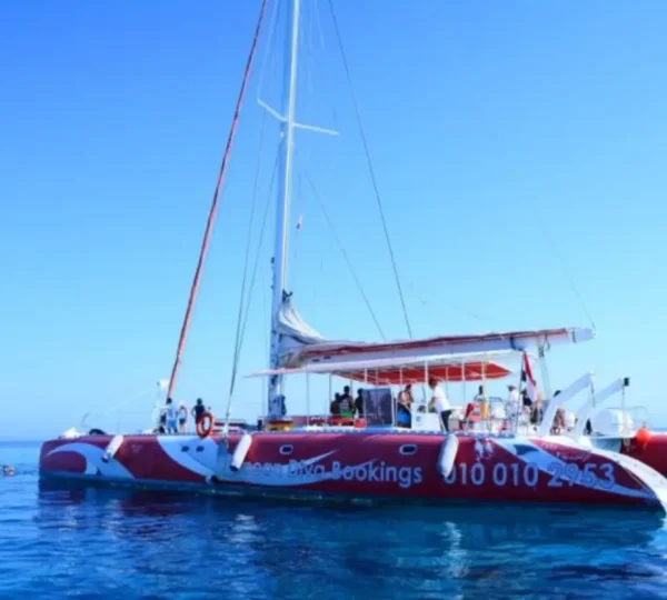 Ocean Diva Katamaran