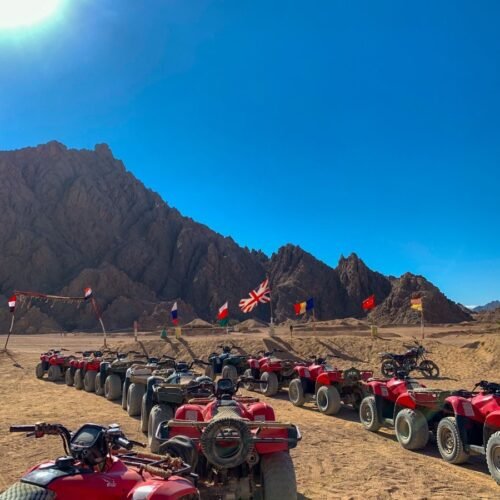 Quad